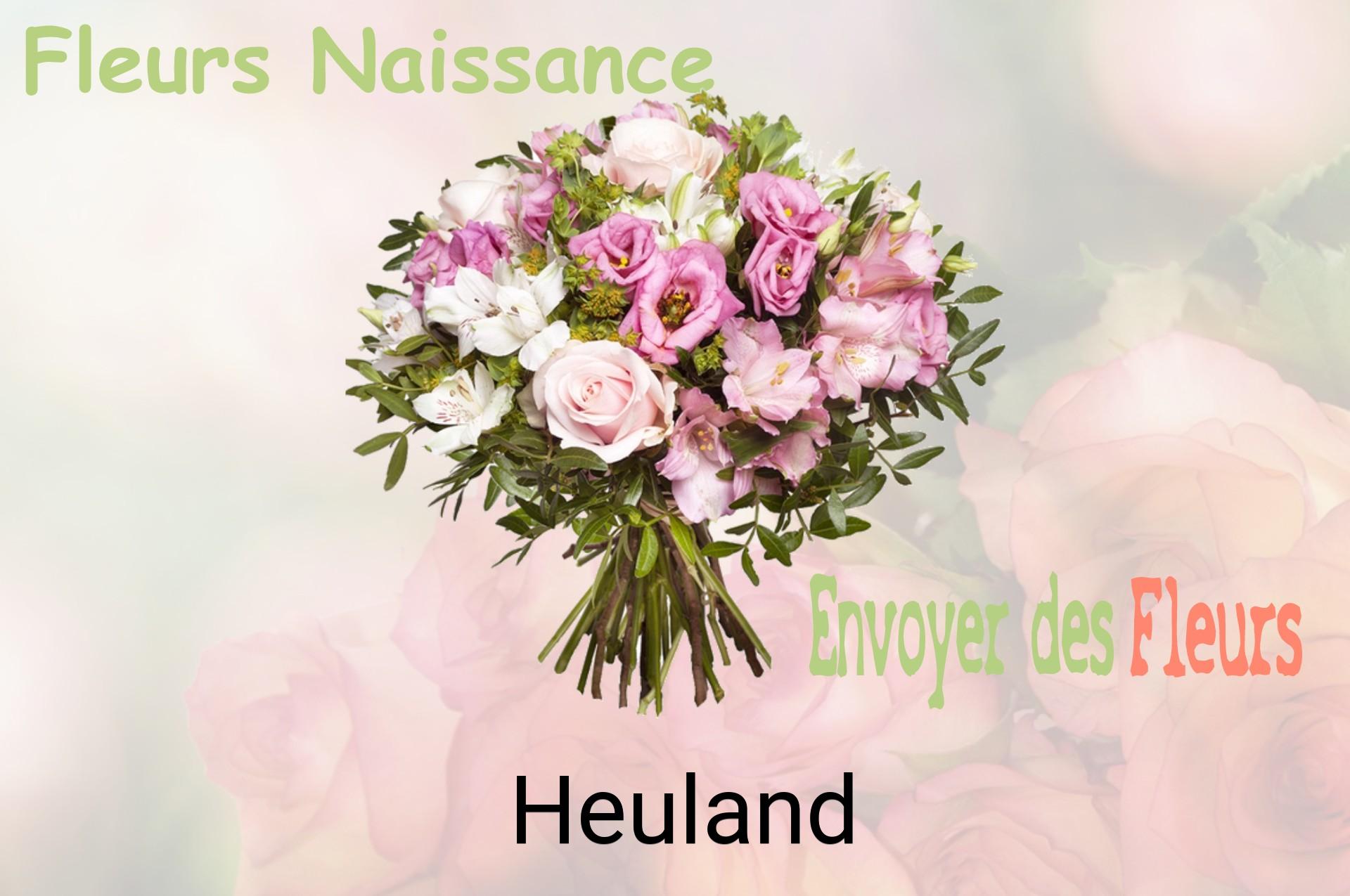 Bouquet de fleurs de naissance livré à Heuland